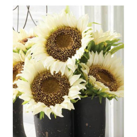 Sunflower Large 42"