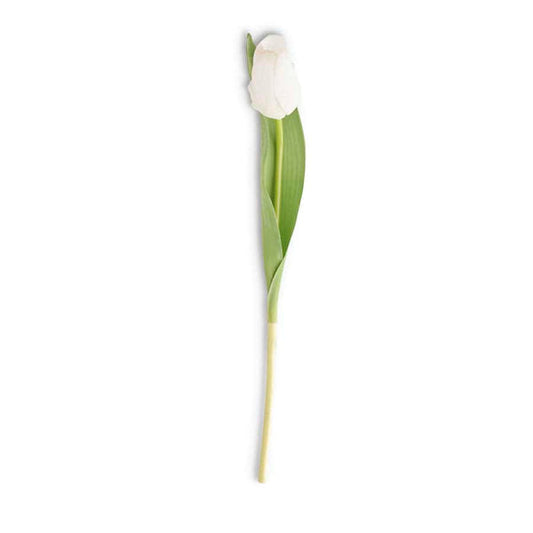 Real Touch White Silk Tulip Stems 15451A-WH