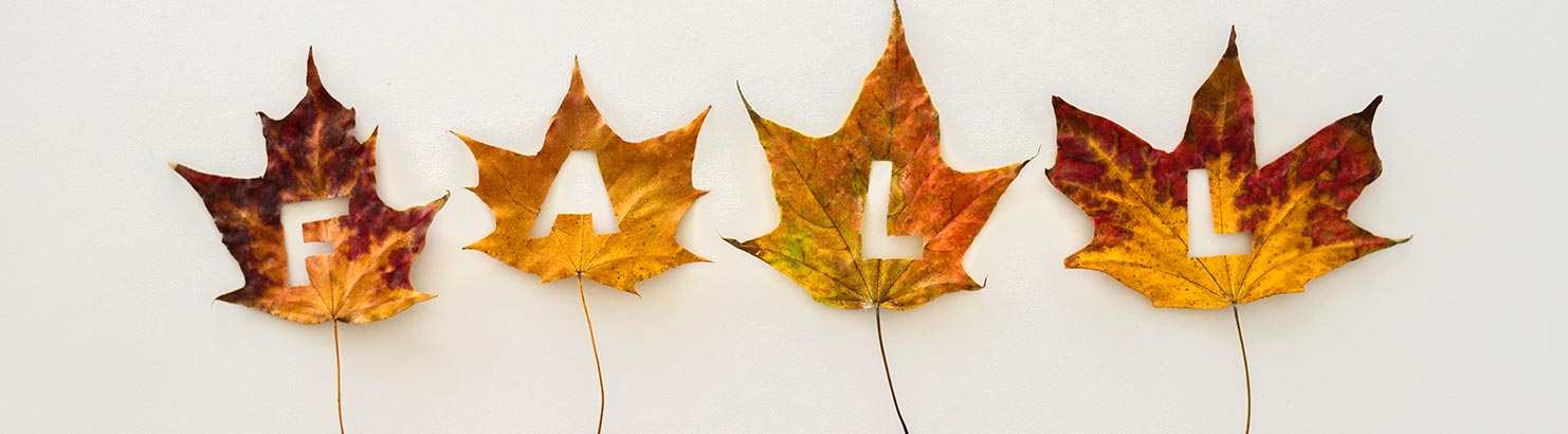 Fall