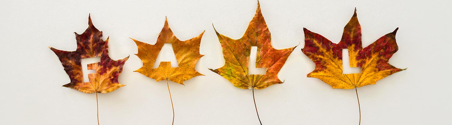 Fall