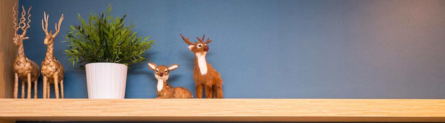 Shelving