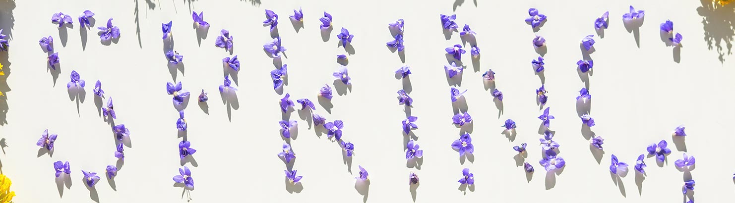 Spring