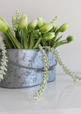 Green Real Touch Mini Tulip Bundle