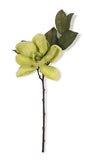 Cream & Green 23" Magnolia Spray 14121A-GR Green