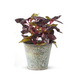 Faux Potted Herbs