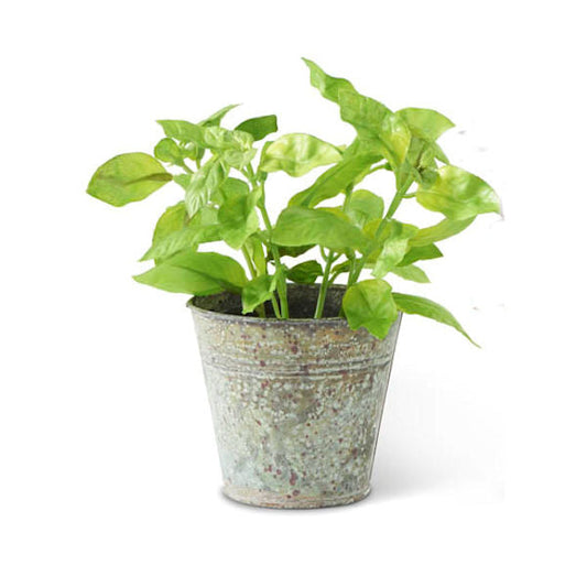 Faux Potted Herbs