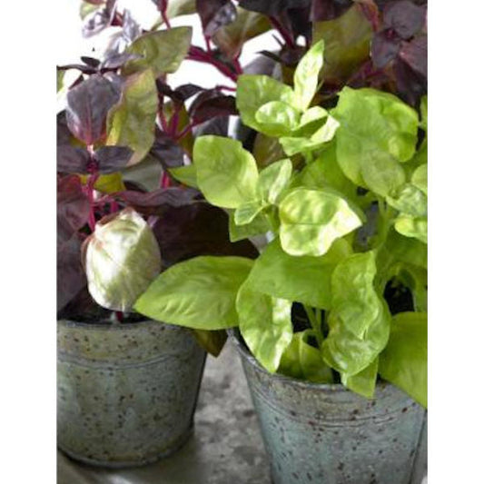 Faux Potted Herbs