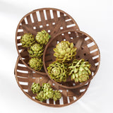Dried Artichokes (Box) 15379A room setting