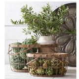 Dried Artichokes (Box) 15379A room setting
