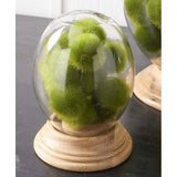 Green 2" Fuzzy Moss Balls 15394B room setting