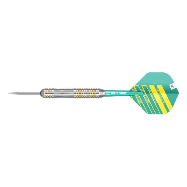 Rob Cross Brass Steel Starter Set darts