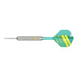Rob Cross Brass Steel Starter Set darts