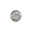 Pins -180 Pewter Award Pin