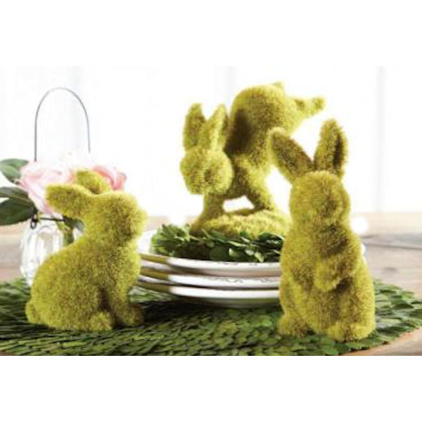 MOSS BUNNIES ON DISPLAY