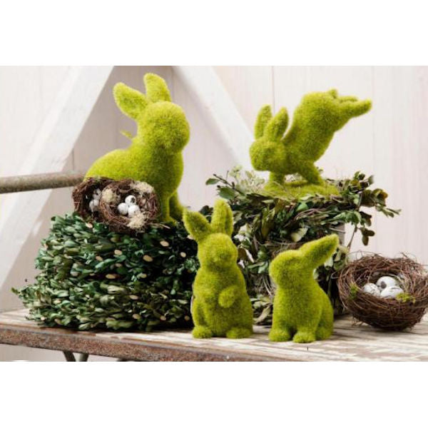MOSS BUNNIES ON DISPLAY