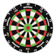 Winmau Equalizer Dartboard on white background