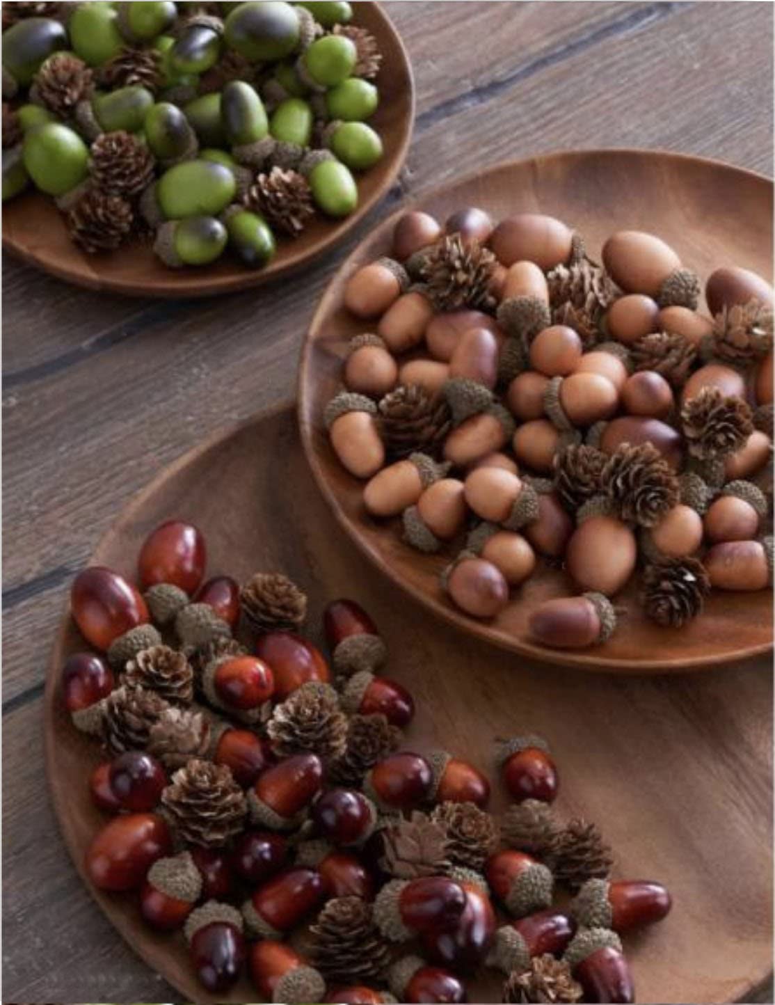 Brown Acorns & Mini Pinecones room setting 41053A