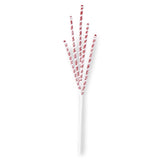 24" Glittered White & Red Spiral Spike Spray