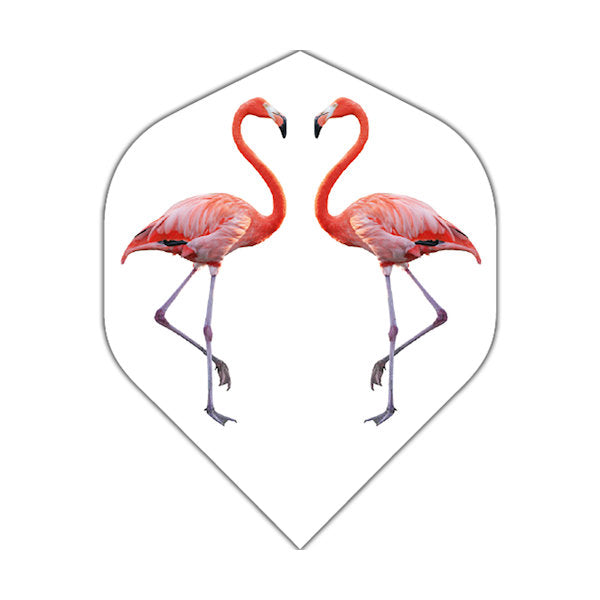 BD Flamingo flight