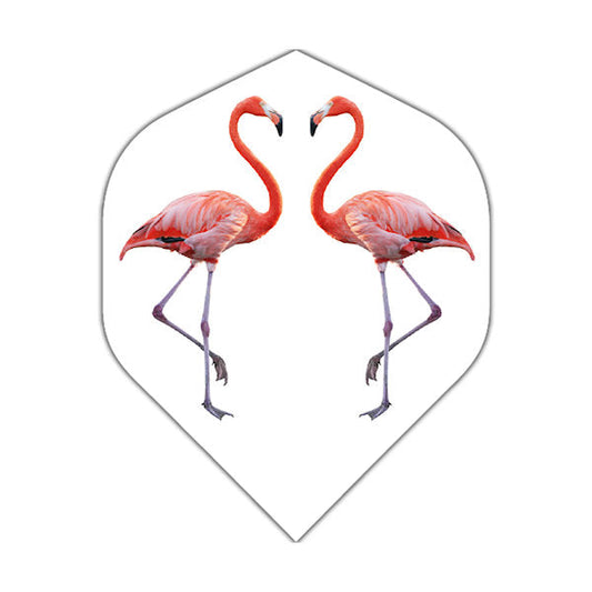 BD Flamingo flight
