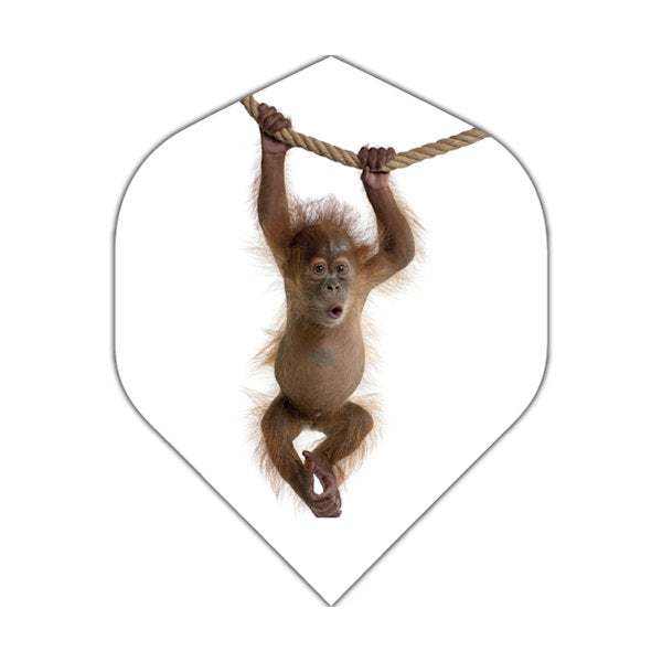BD Exclusive Flights tough durable dart flights with orangutan design hanging on rope