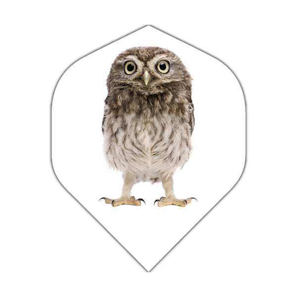 BD Exclusive Flights dart flight featuring owl design, 100 Micron standard size, durable and tough, set of 3 flights