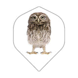 BD Exclusive Flights dart flight with owl design, tough durable 100 micron standard size set of 3 flights