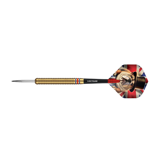 BD Anniversary 90% Tungsten Darts