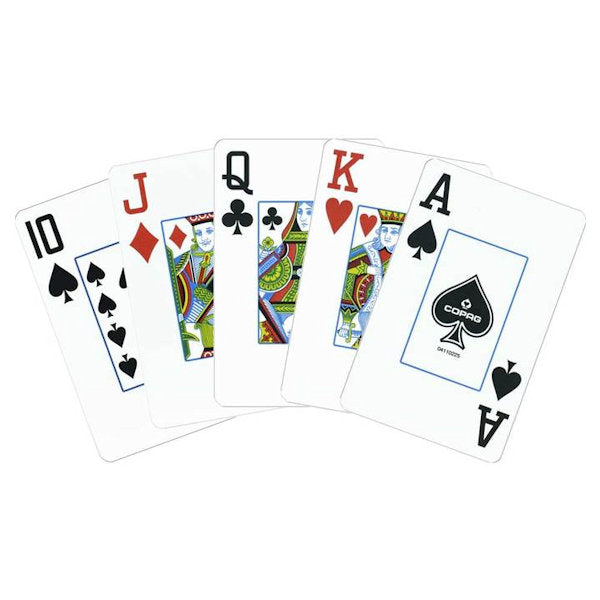 Copag 100% Plastic Jumbo Index Bridge Playing Cards Double Deck Set what the faces look like