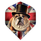 Datadart Unbranded Flights bulldog