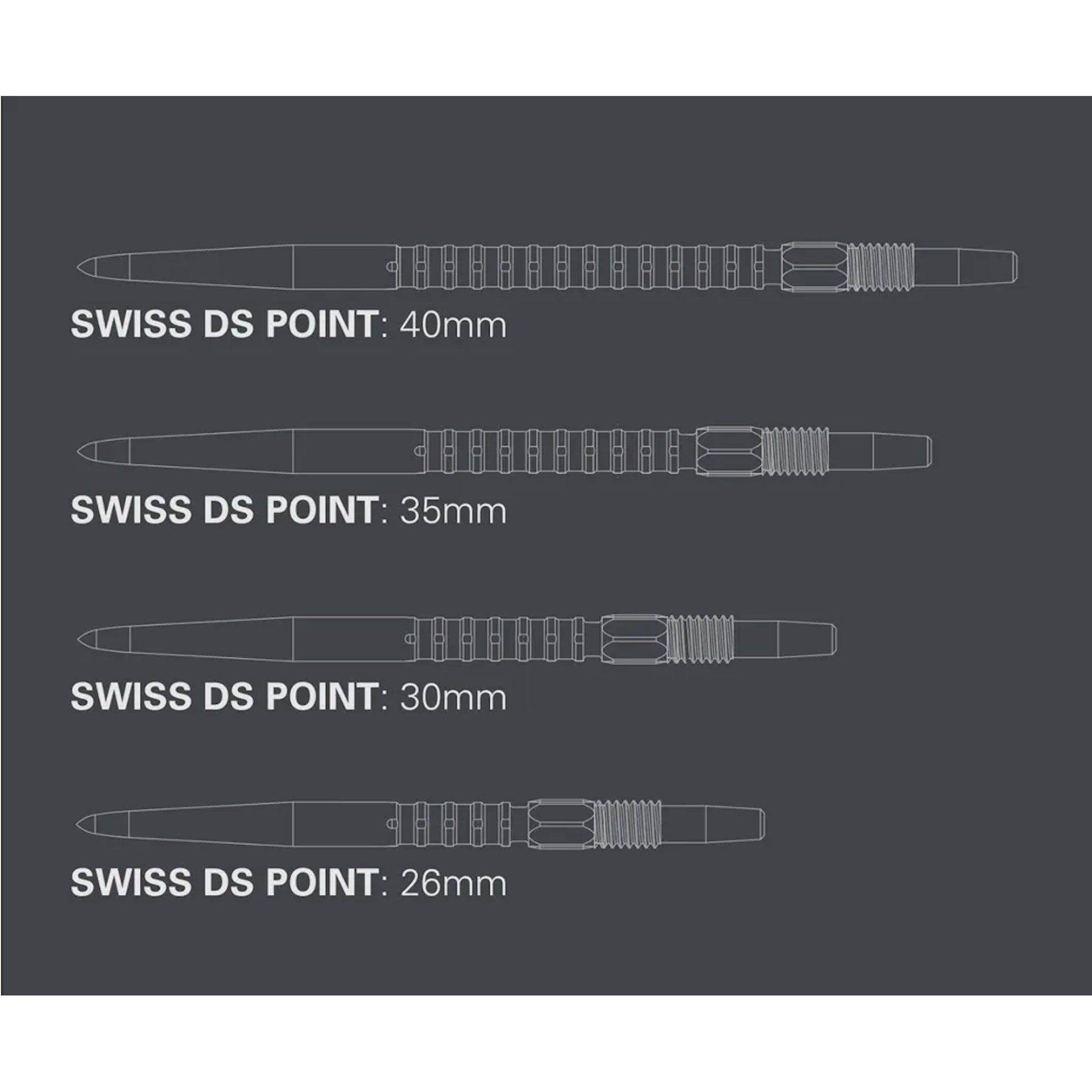 Swiss DS Points size chart