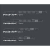 Swiss DS Points size chart