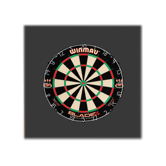 Foam Dartboard Surround