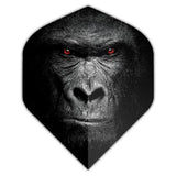 Datadart Unbranded Flights gorilla