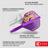 K-Flex No.6 Flight & Shaft World Champion Luke Littler close up of features