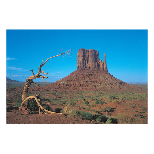 Tomax Monument Valley, Utah USA Glow in Dark (1000pc)
