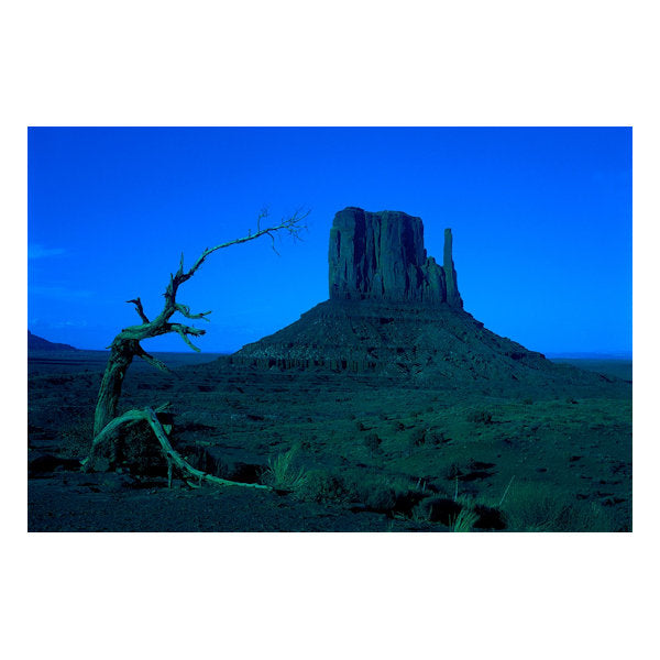 Tomax Monument Valley, Utah USA Glow in Dark (1000pc)