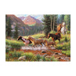 Horses crossing a stream in a mountainous forest landscape