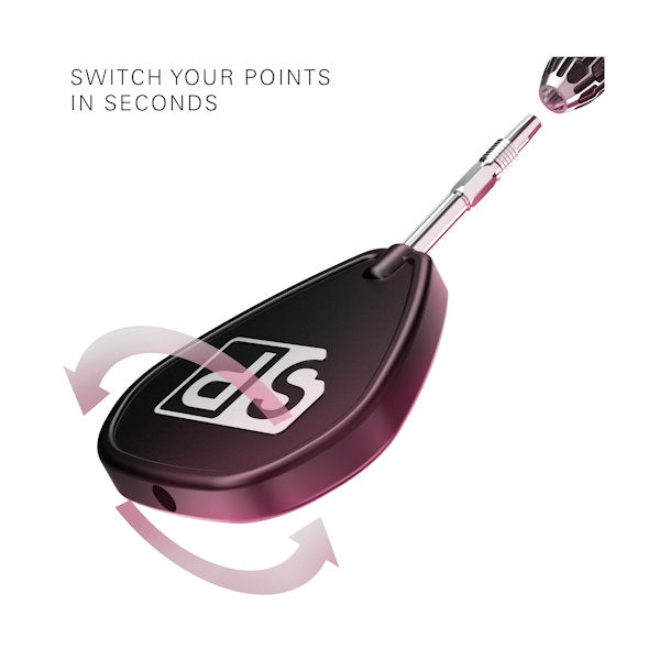 Swiss Points tool showing how to change the points