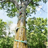 Slackers Tree Climbers Kit climbers shown on tree
