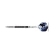 Rook 90% tungsten steel tip dart with a black and silver design 